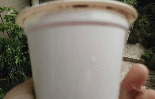 酸奶盒 酸奶盒