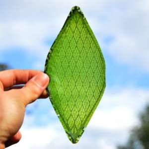 首张人造绿叶 有望用作人工绿色植被