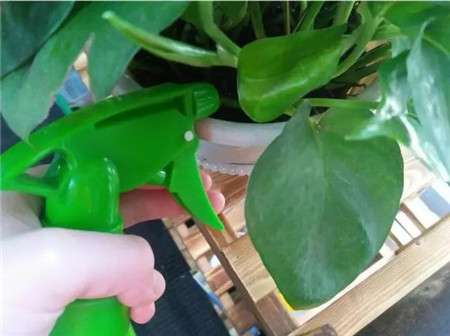 液肥 液肥