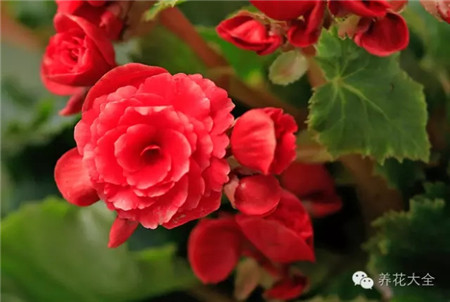 原因三:温度太低 原因三:温度太低
