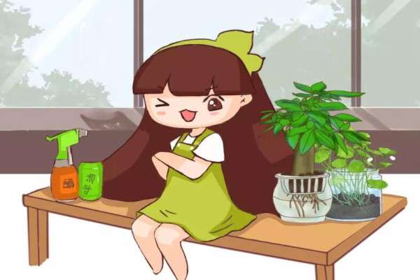 秋天给花洗个澡,一夜蹿出7个芽,秒变开花机器! 秋天给花洗个澡,一夜蹿出7个芽,秒变开花机器!