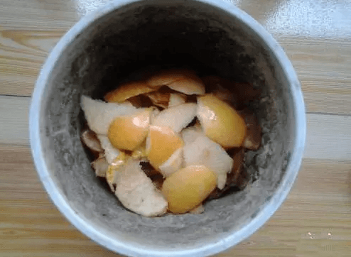 水果皮发酵 水果皮发酵
