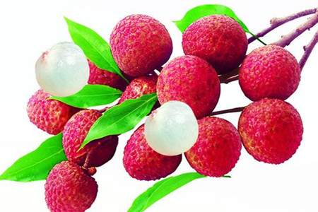 荔枝 荔枝