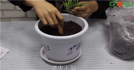 摁出一个小洞