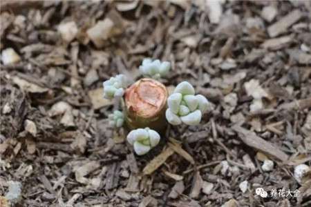 一段时间后 一段时间后