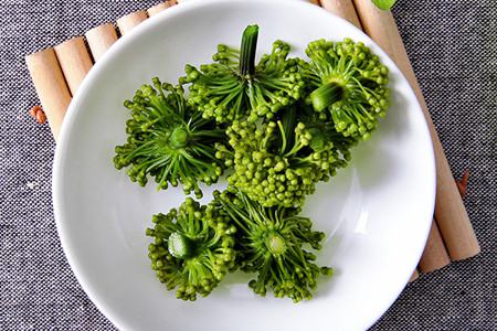 三七花 三七花