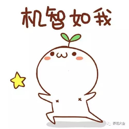 注意事项 注意事项