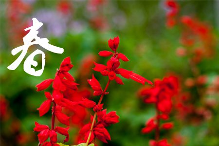 春季 春季