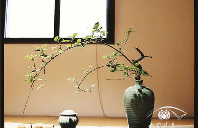 让传统插花回归生活 访“凡花侍”创始人吴永刚 让传统插花回归生活 访“凡花侍”创始人吴永刚