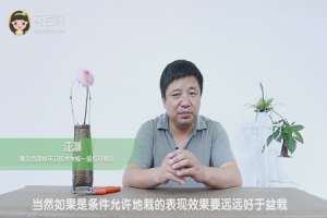 大丽花种球种植方法
