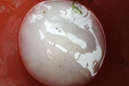 生根粉 生根粉