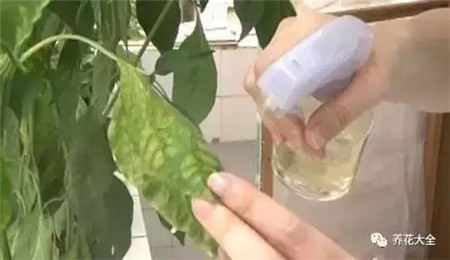 喷洒比例 喷洒比例