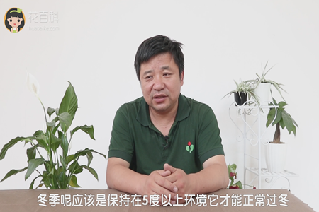 一帆风顺 一帆风顺