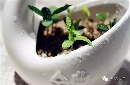 破壳而出 破壳而出
