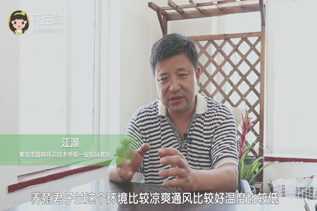 环境适宜 环境适宜