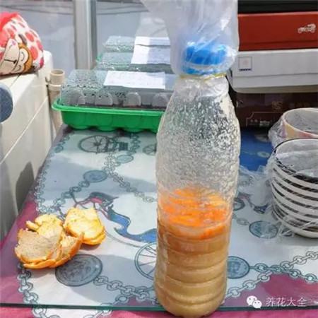 泡水发酵法 泡水发酵法