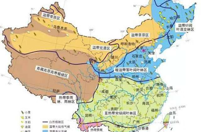 1548121398499271.jpg 苗木行业低谷还在吗?看看全国的行情就知道了