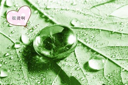 水珠 水珠