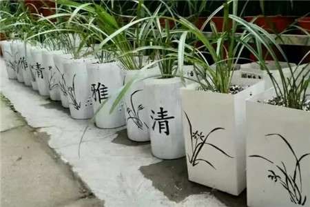 塑料瓶变花盆 塑料瓶变花盆
