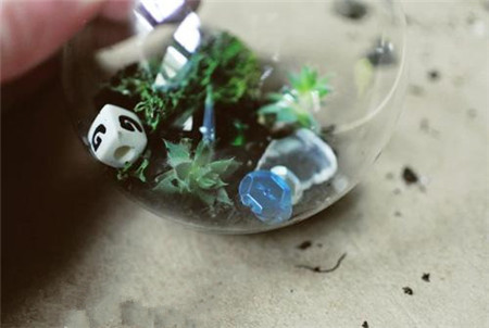 多肉植物玻璃球盆景制作 多肉植物玻璃球盆景制作
