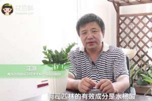 金钱树能浇阿司匹林吗