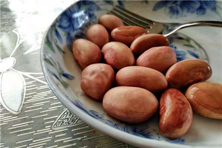 菠萝蜜核 菠萝蜜核