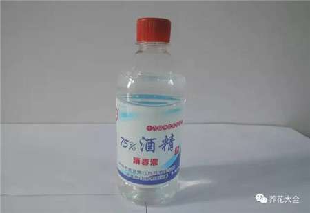 酒精 酒精