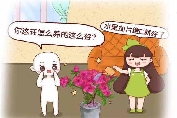浇水时多一个小动作,花疯长爆盆,叶子绿得滴油! 浇水时多一个小动作,花疯长爆盆,叶子绿得滴油!