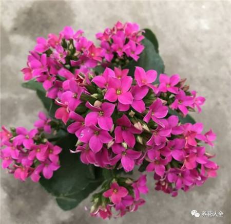 晾晒 晾晒