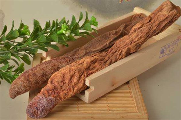 锁阳的功效与作用 锁阳的功效与作用