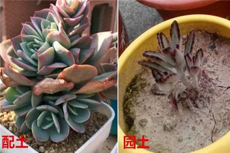 对比 对比