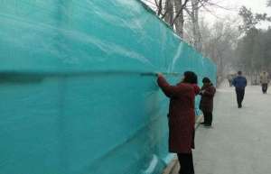 雪松冬季防寒保暖很有必要