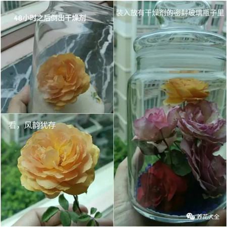 制作成功 制作成功