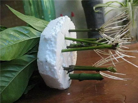 根 根