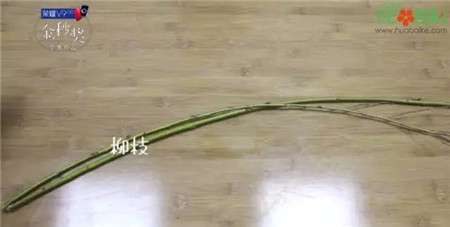 柳树枝条 柳树枝条