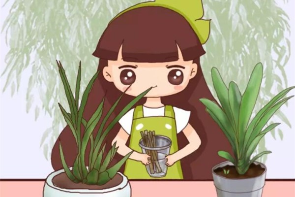 小东西沾水秒变大补药,芽头蹭蹭冒,大白根撑爆盆! 小东西沾水秒变大补药,芽头蹭蹭冒,大白根撑爆盆!