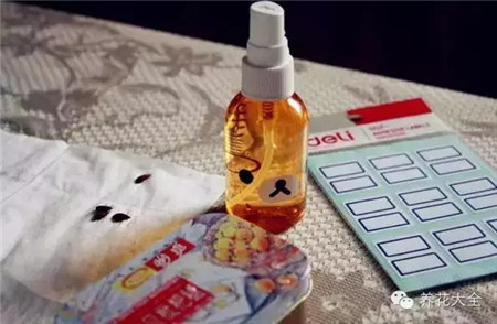 准备好育苗盒 准备好育苗盒