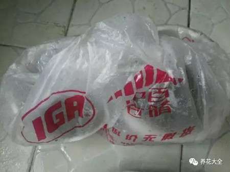 保温与通风 保温与通风