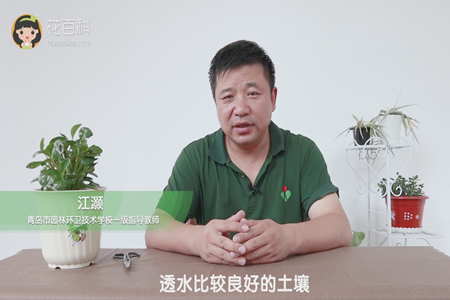 透气比较良好的土壤 透气比较良好的土壤