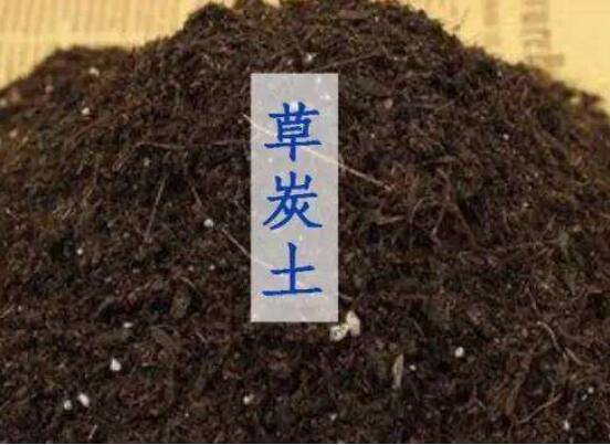 草炭土是什么,详细介绍草炭土的种类以及作用
