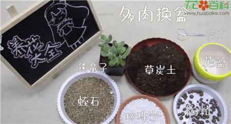 材料 材料
