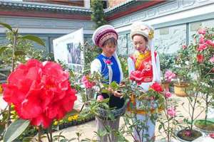 云南大理花卉产业发展再创新高
