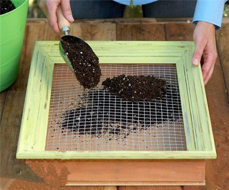 多肉植物墙的制作 多肉植物墙的制作