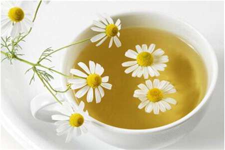 菊花茶 菊花茶
