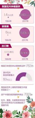 花卉什么时候能成为日常消费品？