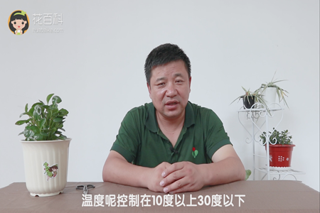 温度呢控制在10度以上30度以下 温度呢控制在10度以上30度以下
