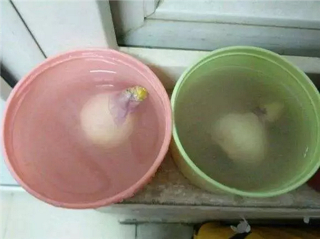 预防疾病 预防疾病