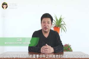 龙舌兰怎么养