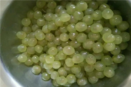 葡萄 葡萄