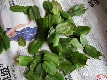 准备 准备